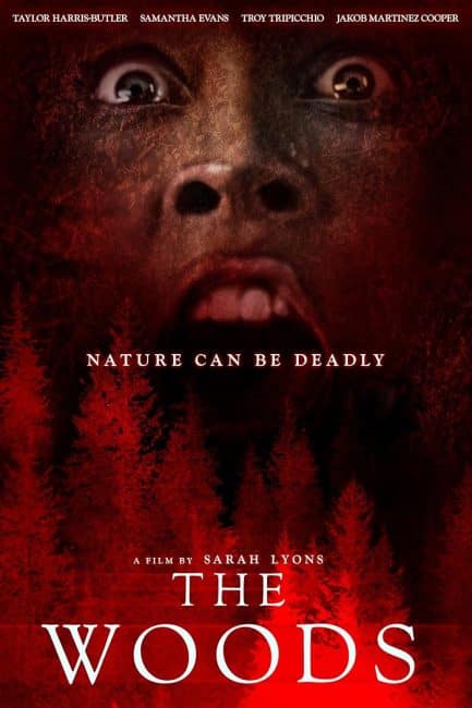 مشاهدة فيلم The Woods 2024 مترجم كامل HD اون لاين