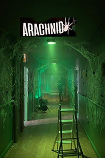 Arachnid