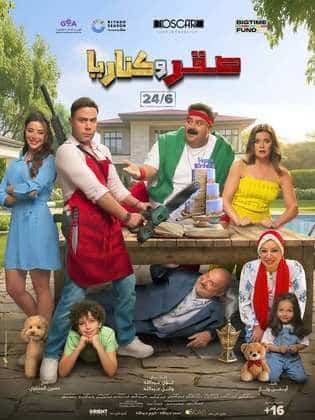 صقر وكناريا